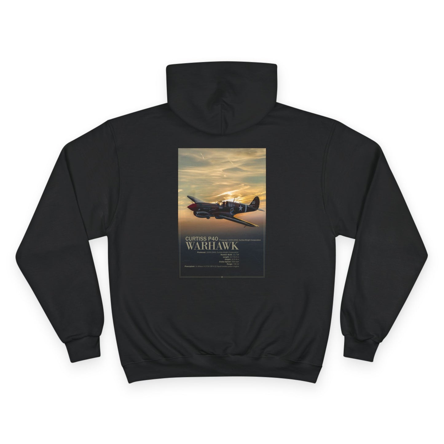 P40 Warhawk Champion Hoodie